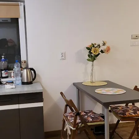 Domek Pod Olszyna - Blisko Kajaki I Zalew * Nowe Miasto (Plonsk)